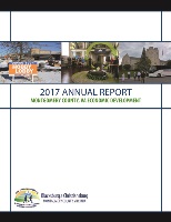 2017 Annual Report cover